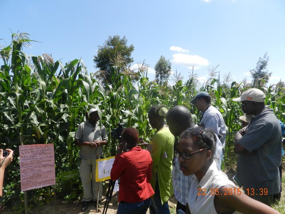 Conservation Agriculture (CA) for higher yields and frost bite mitigation in Laikipia Kenya