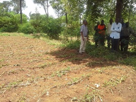 Plate 4: Field Visit: the participants interacting with the host farmer of on-farm demonstration, Mr. John Odiepo